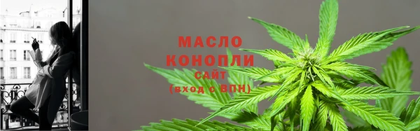 молекула духа Богородск