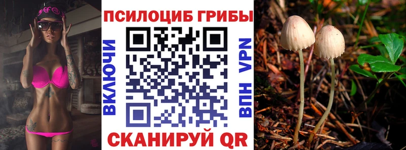 Псилоцибиновые грибы Magic Shrooms  Буй 